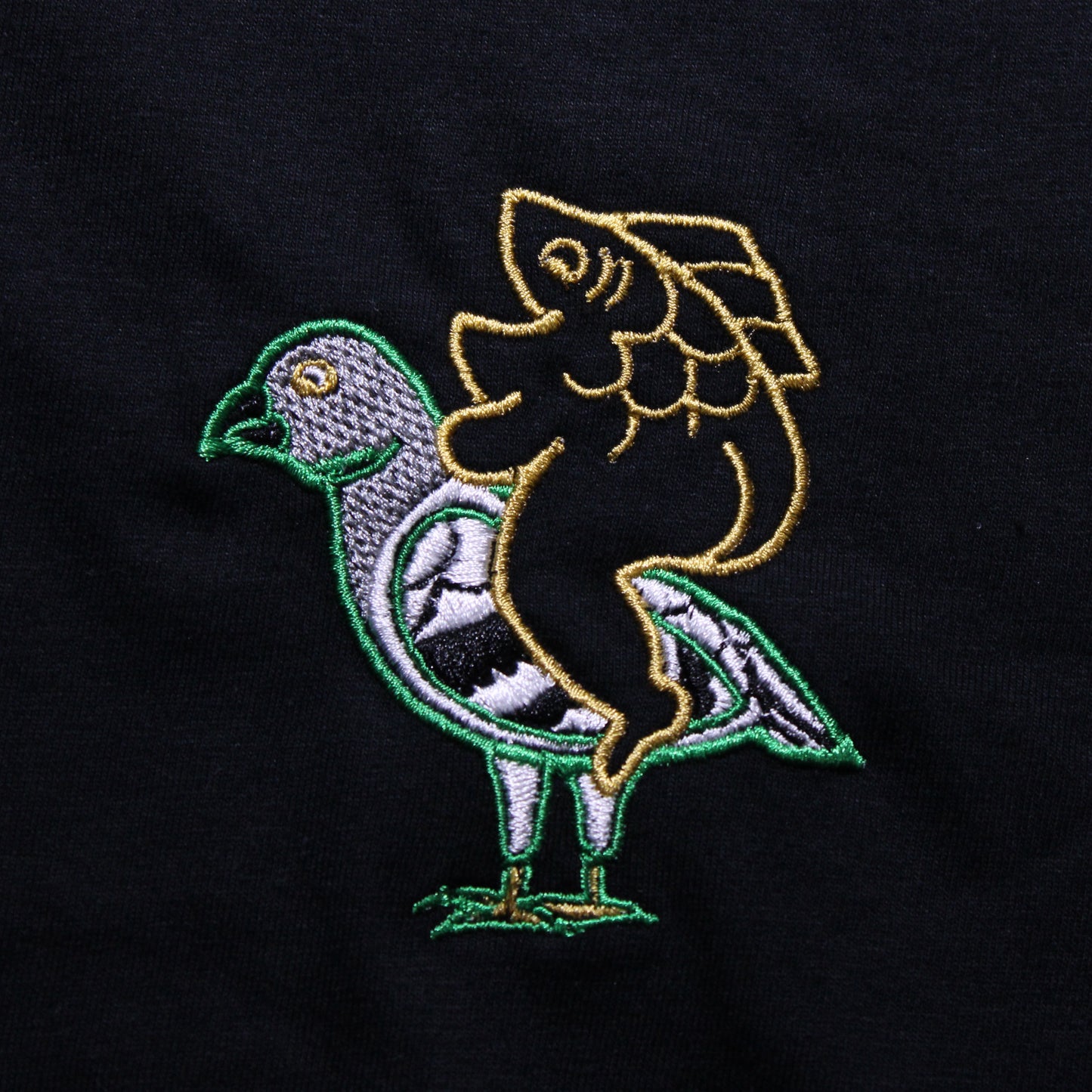 PIGEON BLACK
